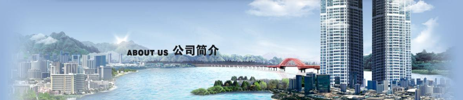公司簡介